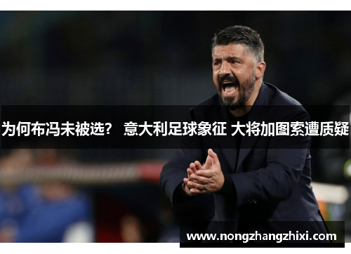 为何布冯未被选？ 意大利足球象征 大将加图索遭质疑